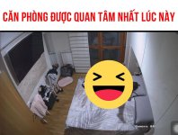 IMG_2929.jpeg