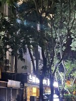 IMG_5831.jpeg