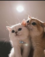 Screenshot_20250409_135651_TikTok.jpg