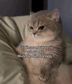 Screenshot_20250409_135655_TikTok.jpg
