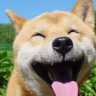 AnhTrong